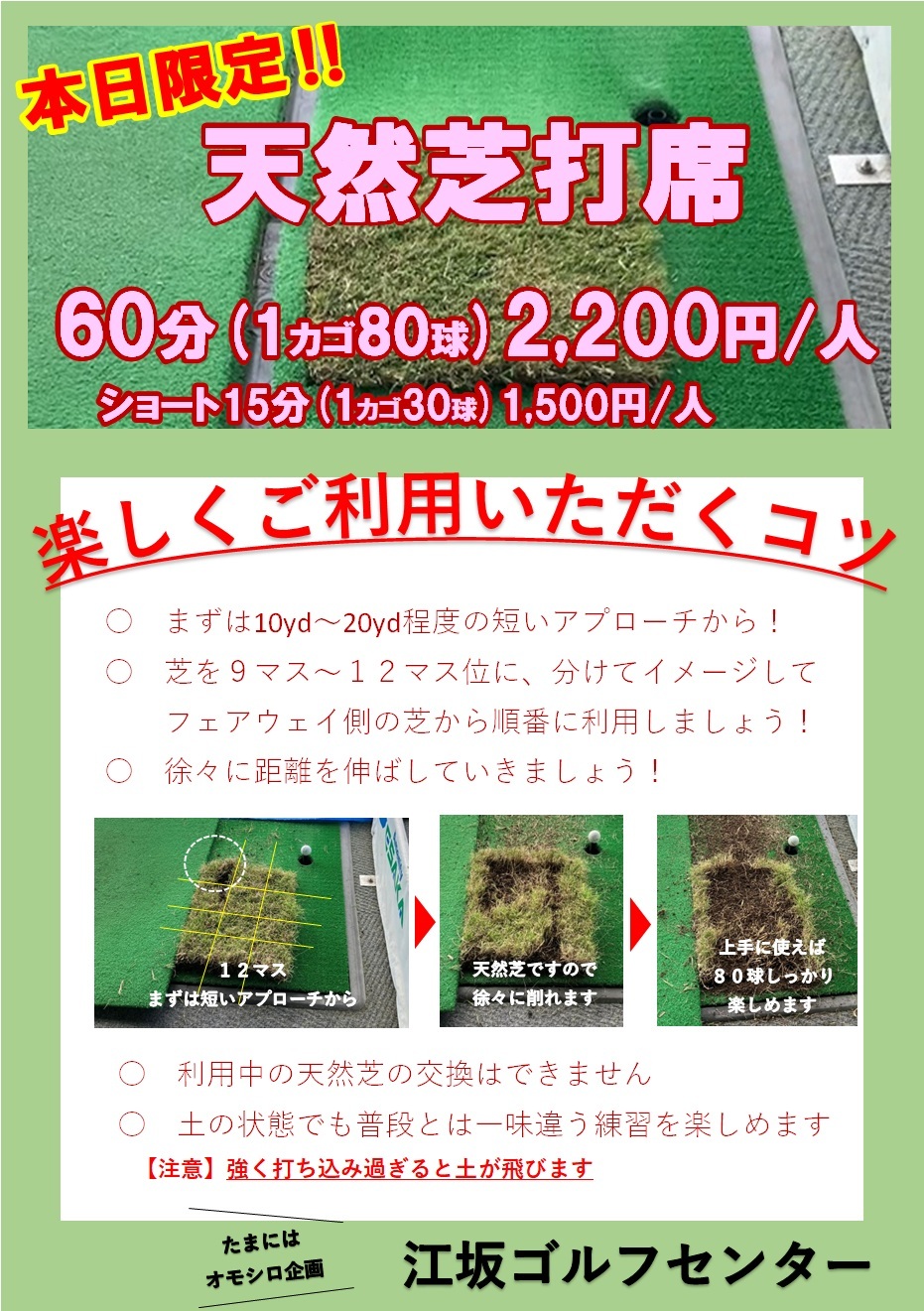 天然芝説明